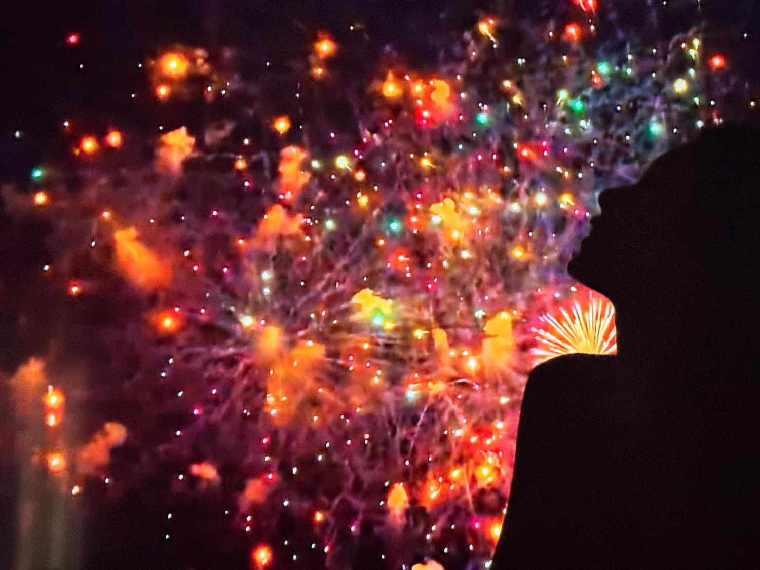 미진이의 작은 집